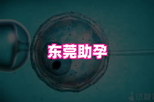 123试管孕网 4